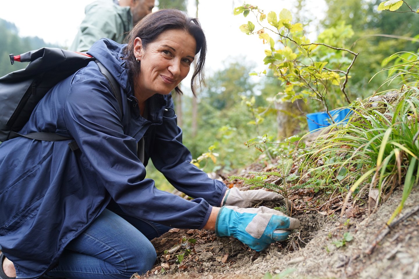Gewerkschafterin pflanzt Setzlinge im Wald ein