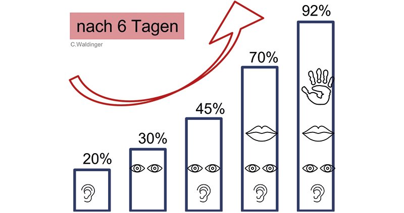 Grafik mit Lernkurve von Hermann Ebbinghaus