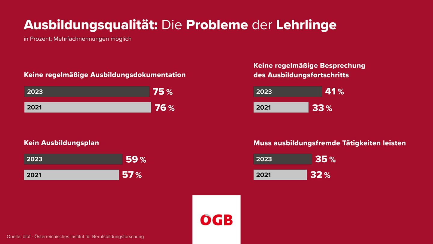 Grafik Ergebnisse über die Probleme in der Lehrausbildung