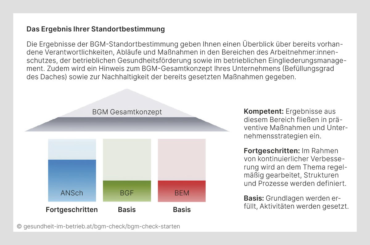 Diagramm eines Hauses, das die Ergebnisse der BGM-Standortbestimmung darstellt. Die Bereiche des Hauses symbolisieren die Ebenen des Arbeitnehmer:innenschutzes (Fortgeschritten), der betrieblichen Gesundheitsförderung (Basis) und des betrieblichen Eingliederungsmanagements (Basis). Der Befüllungsgrad des Daches zeigt das Gesamtkonzept und die Nachhaltigkeit der Maßnahmen.