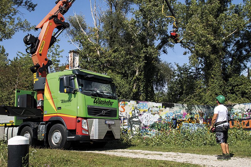 LKW mit Kran, davor steht ein Arbeiter mit Fernsteuerung, der Kran schneidet einen Teil eines hohen Baums.