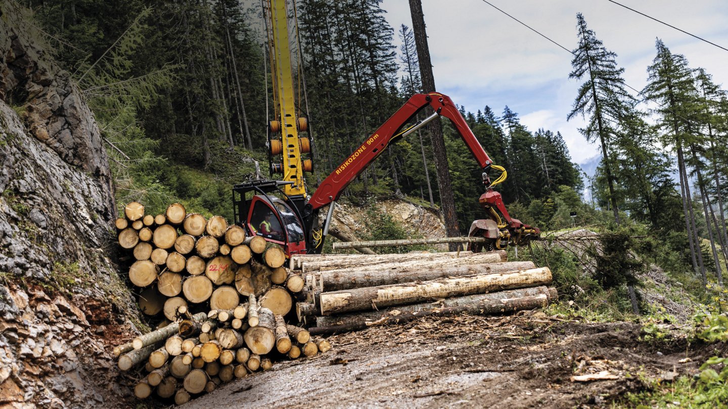 Ein Holzvollernter legt frisch gefällte Baumstämme in einem Waldstück ab; im Vordergrund liegt ein großer Stapel Holz.