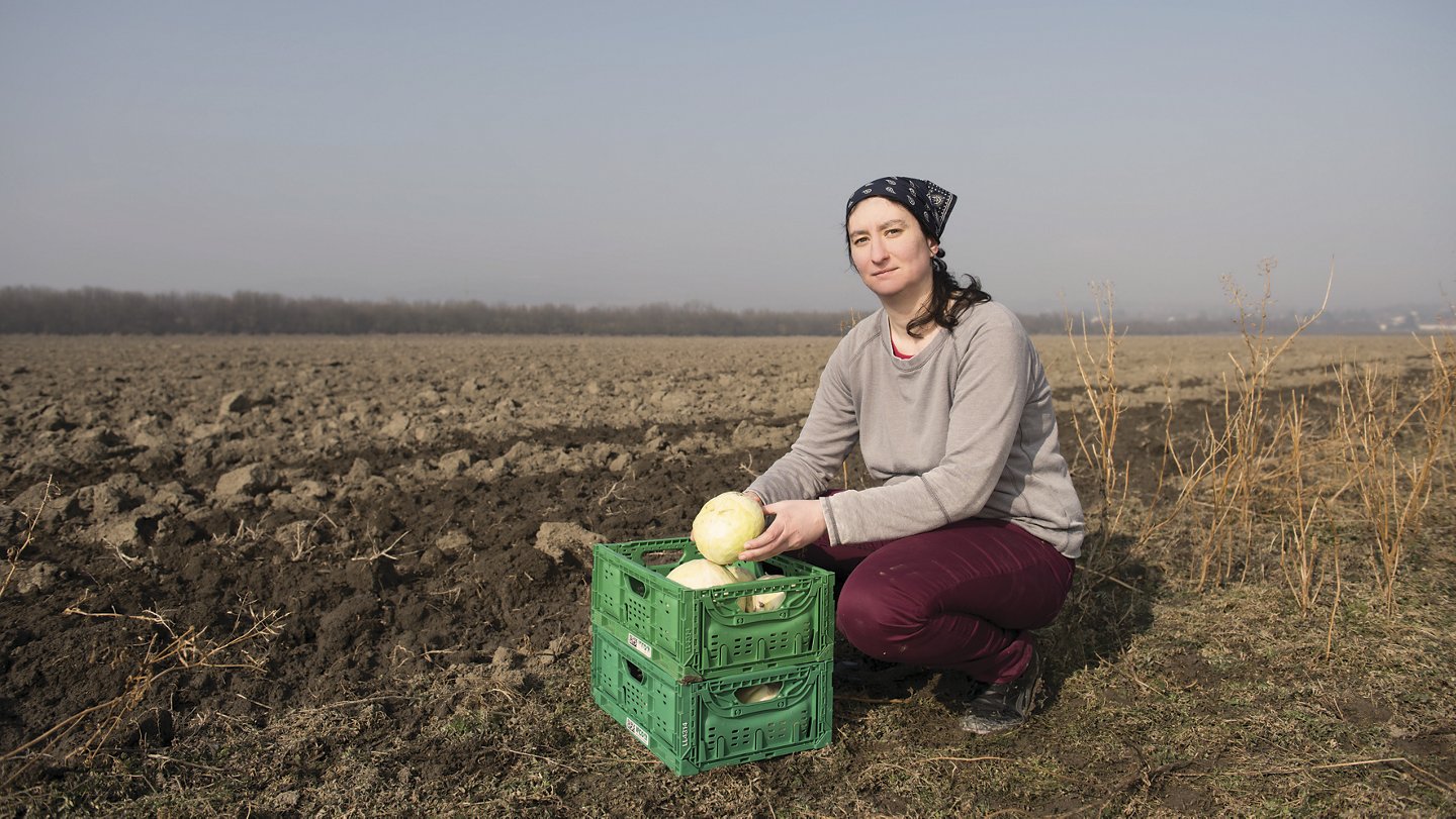 Frau mit KrautkÃ¶pfen auf einem Acker