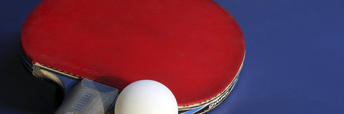 31. Landesmeisterschaft Tischtennis