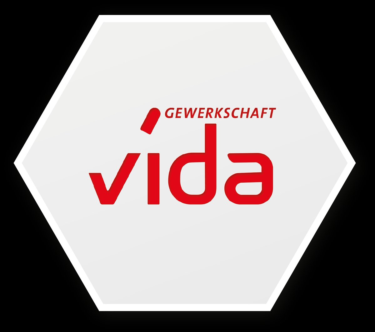 vida Logo Hexagon