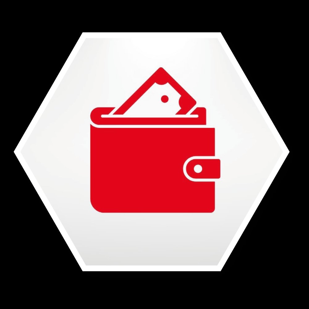 Icon vida Vorteil Geld und Unterstützung