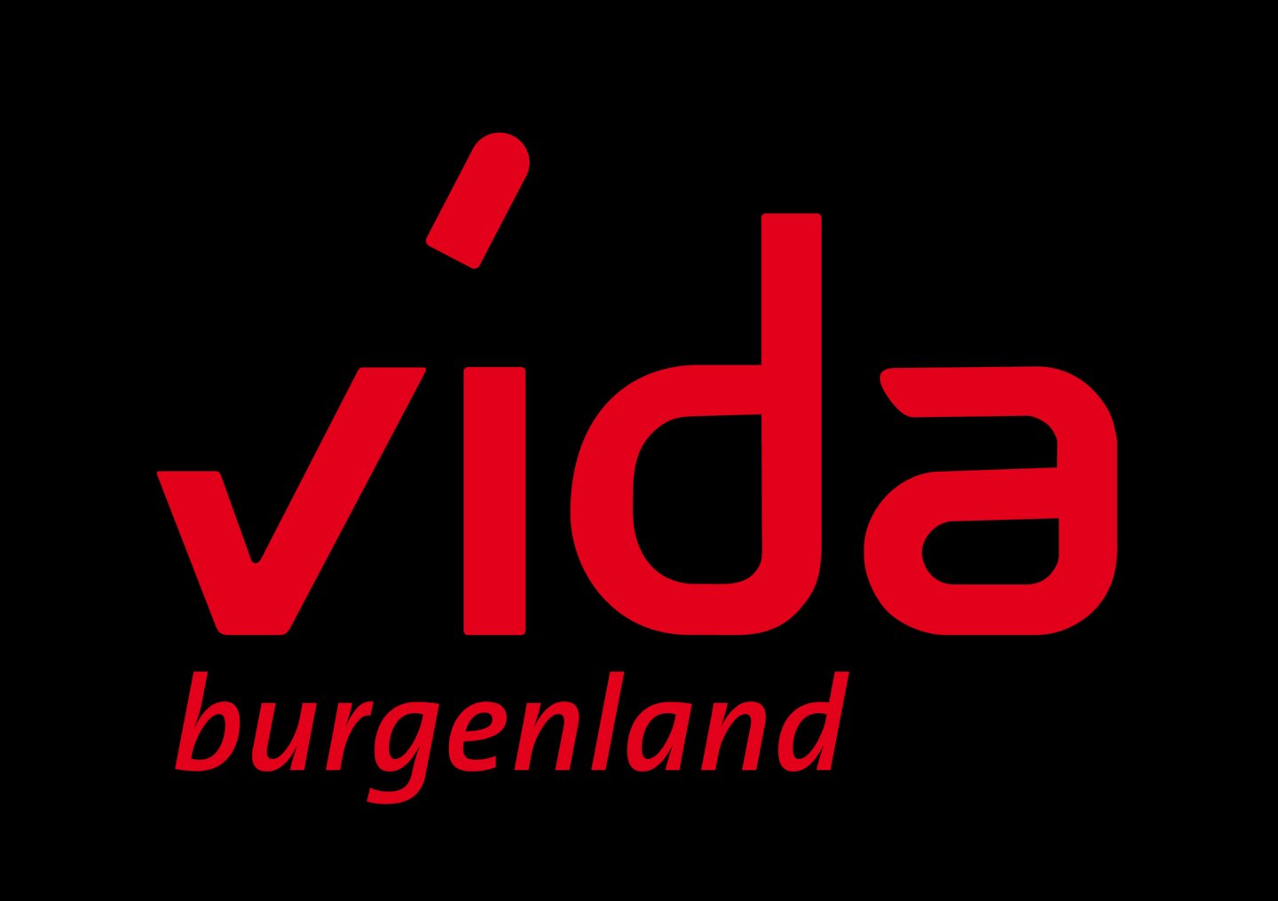 Logo vida Burgenland